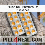 Power Spring Pills levitra2